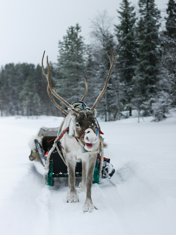 Finland nature