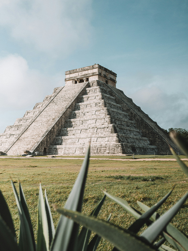 Study in Mexico