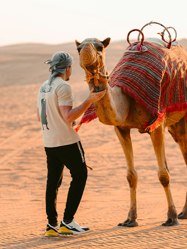 United Arab Emirates desert